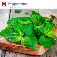 เมล็ดเปปเปอร์มินท์ Peppermint กลิ่นหอมสดชื่นเป็นเอกลักษณ์ (0.25กรัม)