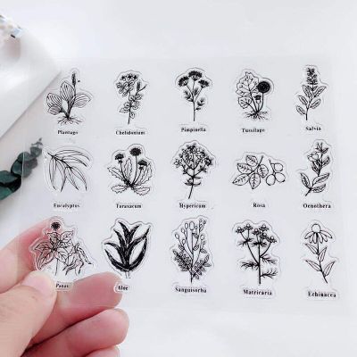 Pantago Plant Aloe Transparent Clear Stamps Scrapbook Card Album Paper Stamps for Diy Handmade Silicone Rubber Roller Stamps  Scrapbooking