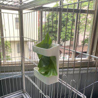 Bird Hanging Feeder Plastic Vegetable Bird Food Holder for Vegetable for Fruits