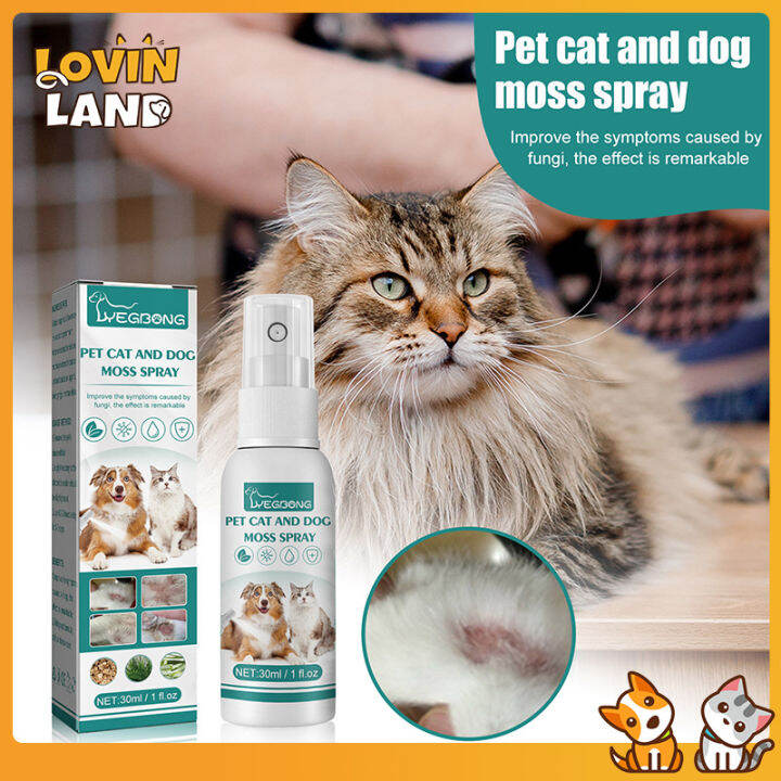 Lovinland Pet Fur Spray Treatment Allergies Dermatitis Eczema for Cat