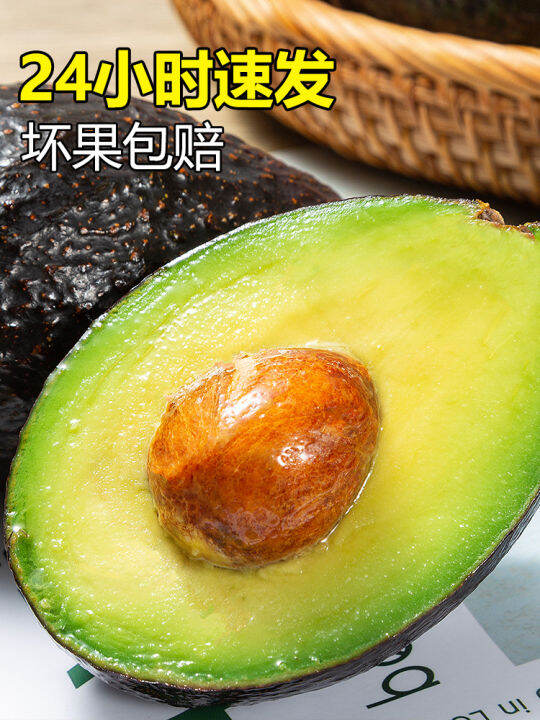 Mexican avocado imports a whole bag of fresh fruit in the season, ready