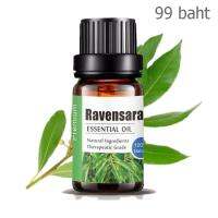 Aliztar 100% Pure Ravensara Essential Oil 10 ml น้ำมันหอมระเหยราเวนซาราแท้ สำหรับอโรมาเทอราพี เตาอโรมา เครื่องพ่นไอน้ำ ผสมน้ำมันนวดผิว ทำเทียนหอม