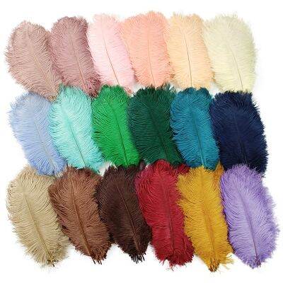 10Pcs/Lot Colored Feathers for Crafts Wedding Decoration Handicraft Accessories Table Centerpieces Plumas