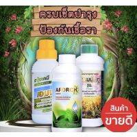 Woww สุดคุ้ม เอฟอส100ชีชี+แกรมม่าทู500cc+เอมมา500ccชุดราคาโปรเร่งการเจริญเติบโตป้องกันและกำจัดเชื้อรา ราคาโปร พรรณ ไม้ น้ำ พรรณ ไม้ ทุก ชนิด พรรณ ไม้ น้ำ สวยงาม พรรณ ไม้ มงคล