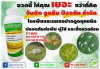 สารเพิ่มประสิทธิภาพจากธรรมชาติ "สุพรีมออยล์ (Supreme Oil)" เพื่อเสริมประสิทธิภาพ จับติด และดูดซึม ให้กับสารเคมีเพื่อการเกษตรทุกชนิด