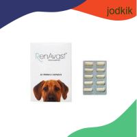 Renavast for dog (หมดอายุ 01/2024) อาหารเสริมโปรตีน สำหรับสุนัข อายุ 1 ปีขึ้นไป บรรจุ 60 แคปซูล