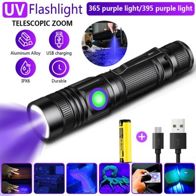 Portable 365/395nm UV Flashlight Mini Handheld Ultraviolet Blacklight with Clip Pet Violet Lamp Urine Scorpion Hygiene Detector Rechargeable Flashligh