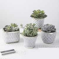 Creative Ceramic Pots Geometric Grain Cement Flower Simple Succulent Pot Container Planters Small Bonsai Pots Office Decor