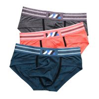 【CW】 4PCS/Lots Mens Elephant Penis Briefs Ropa Interior Hombre Silk Thongs Cueca Gay Panties Size