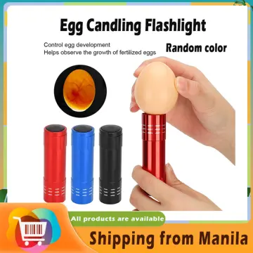 Incubator Eggtester Egg Candling Lamp LED Super Cold Equipment