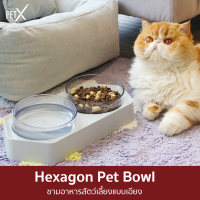 PET X : Hexagon Bowl ชามอาหารสัตว์เลี้ยงแบบเอียง