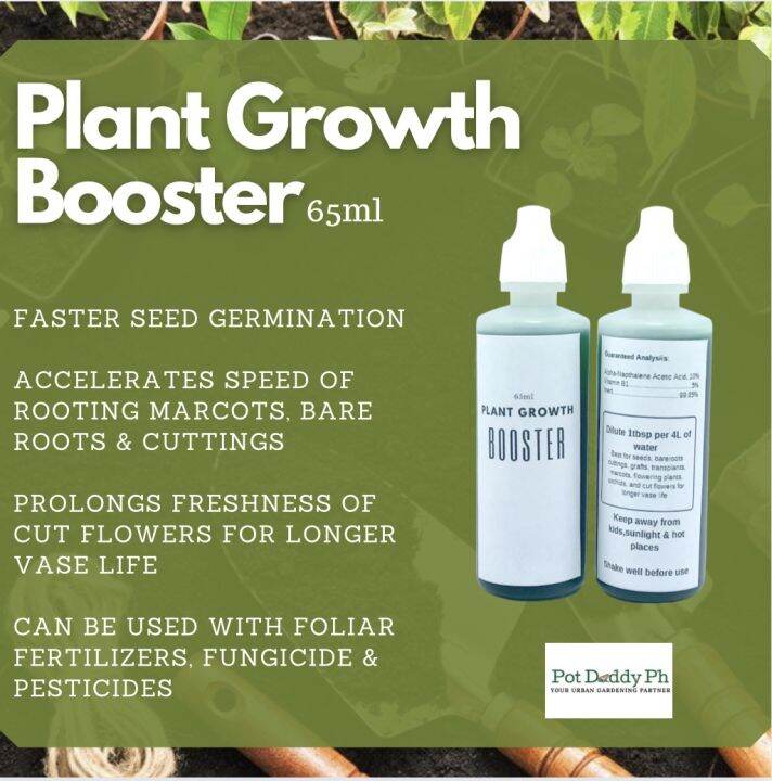 Plant Growth Booster Rooting Hormone Plant Reviver 65ml Lazada PH