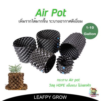 [พร้อมส่ง]!!!ลดกระถางปลูกต้นไม้ Air pot 1/3/5/7/10 แกลลอน กระถางเพิ่มราก ของแท้[สินค้าใหม่]