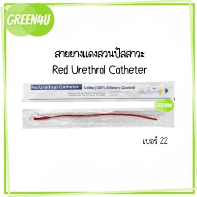 [ยกกล่อง 10เส้น] สายยางแดง สวนปัสสาวะ แบบสวนทิ้ง เบอร์ 22 สายยางแดงสวนปัสสาวะ Red Urethral สายปัสสาวะ French Catheter