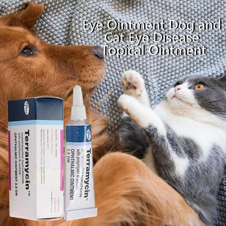 Pet Eye Care Cream Eye Drops Ointment For Conjunctival Keratitis