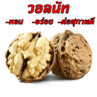 วอลนัท Walnut วอลนัท สำหรับสัตว์เลี้ยงฟันแทะ นกแก้ว กระรอก กระต่าย ชุด 5 ลูก