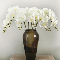 hotx【DT】 Artificial Silk Orchid Flowers Moth Phalaenopsis Fake for Wedding Decoration
