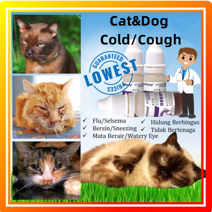 Going up Pet Medicine Treatment of fever cough medicine, dog and cat ...