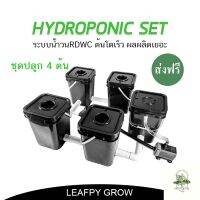 [ready stock][ส่งฟรี] ชุดปลูกไฮโดรโปรนิกส์ 4 ต้น ระบบ RDWC ต้นโตเร็ว ผลผลิตเพิ่มขึ้น Hydroponic RDWC Grow Setมีบริการเก็บเงินปลายทาง