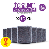 หอมผกา ข้าวไรซ์เบอรี่ Rice berry บรรจุ  10 กก. /ลัง ต้นม่วง หอมผกา ปลูกด้วยระบบ GAP สำหรับซื้อทานบริโภคในครัวเรือน สีจะไม่ดำมาก ข้าวไรซ์เบอรี่