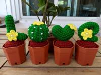 กระบองเพชร Cactus |Crochet flowers |Crochet Cactus กระบองเพชรถักไหมพรม