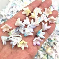 ❄┋▼ New 20pcs 13x16mm Gradual Change Acrylic Lilies Beads Caps Jewelry Findings Charms Bracelets Spacer Beads for Jewelry Making