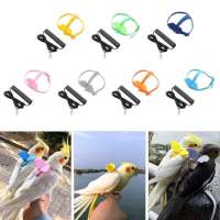 【COD &amp; Ready Stock】 Budgie Flying Training Rope With Wing For Small Medium Birds Bird Traction Belt Bird Nylon Flight Training Rope Bite Bird Harn