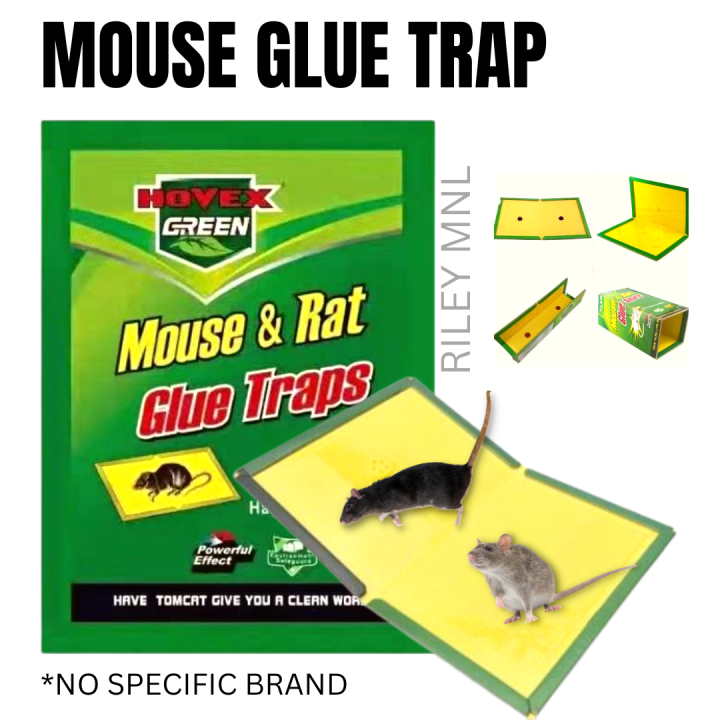 Riley MNL - 1 Pc. Mouse Glue Trap Board | Super Sticky Pandikit sa Daga ...