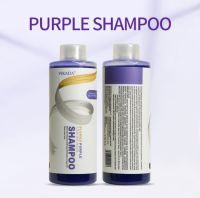 แชมพูสระผมม่วง ลดสีเหลือง สำหรับคนทำสีผม แชมพูผม Vikada Anti Brassy Silver Shampoo VIOLET ปริมาณ 275ml