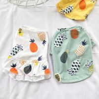 Dog Pet Clothing Fruit Pineapple Dress for Dogs Clothes Cat Small Cute Thin Spring Summer Green Girl Gift Yorkshire Accessories Dresses