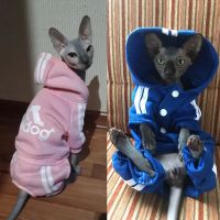 〖Love pets〗   Cute Cat Sweater Hoodie Winter Warm Pet Clothes for Cats Sphynx Katten Clothing Outfit Ropa Para gatos Kedi Giyim Pets Products