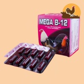 B12 - MEGA dinh dưỡng dành cho gà đá CHIẾC 10 VIÊN