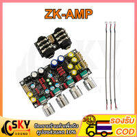 SKYSOUND ZK AMP แอมป์จิ๋วคาราโอเกะ ปรีไมค์แอมจิ๋ว ปรีไมค์คาราโอเกะ คาราโอเกะ บอร์ดก้อง ไมค์โครโฟน K ร้องเพลง พรีเอฟเฟคบอร์ด DSP