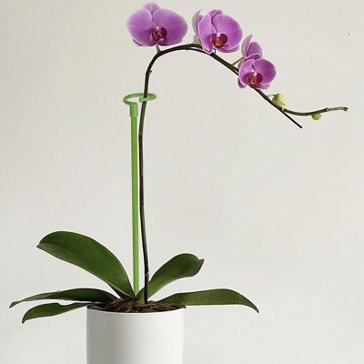 ‘【；】 6Pcs Plant Supports Butterflies Orchid Succulents Flower Vegetables Plant Stand Plant Potted Support Rods Garden Supplies
