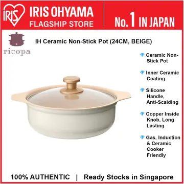Iris Pot - Best Price in Singapore - Feb 2024