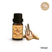 Aroma&amp;More  Galangal Essential Oil น้ำมันหอมระเหยข่า 100%, Indonesia  5/10/30/100ML