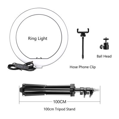 10 Inch Selfie Ring Light with Tripod Stand Cell Phone Holder for Live Stream Makeup Dimmable Led Camera Beauty Ringlight