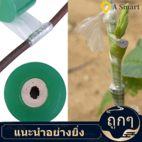 Grafting Stretchable Tape เทปพันกิ่งต้นไม้ 100 ม