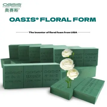 Oasis Floral Products Floral Foam Brick, 2 Pack