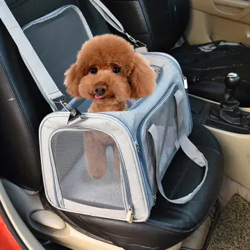 1pc Foldable Pet Carrier Bag For Dog And Cat For Outdoor