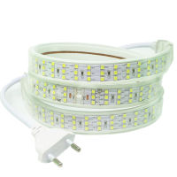 Three Row Strip Flexible LED Waterproof Light 2835 220V 276ledsm With Power plug Warm White Festival Decoration Light