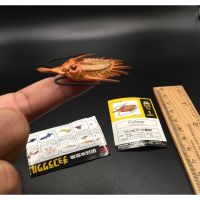 ฟิกเกอร์ สัตว์จิ๋ว ยุค ไดโนเสาร์  Kaiyodo UHA Dinotales Psychopyge Dinosaur Mini Figure japan import