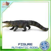 Safari Ltd. : SFR262629 โมเดลสัตว์ Saltwater Crocodile ถ้วยหัดดื่ม แก้วหัดดื่ม ช้อมส้อมเด็ก ชุดจานเด็ก จานชามเด็ก ชุดถ้วยจานเด็ก ชุดจานชามเด็ก Mamy and Buddy