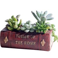 Europe Ancient Literature Books Figurine Resin Flowerpot Creative Flower Planter Pot for Garden Home Room Decoration