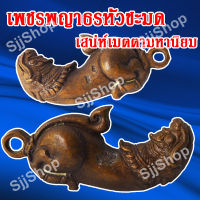 ปลัดหัวชะมดเพชรพญาธร หรือ ทิพยาธร จัดส่ง 1-3 วันได้รับ มีสินค้าพร้อมจัดส่ง