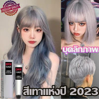 ครีมย้อมผมสีเทา100ml สีขึ้นเร็ว สระผม=ย้อมผม ไม่ระคายเคือง สีออกง่าย สีสวย ติดทนนาน ย้อมผม ยาย้อมผม