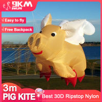 9KM 3M Pig Kite Line ซักรีดจี้ Soft Inflatable Show Kite สำหรับ Kite เทศกาล30D Ripstop ไนลอนพร้อมกระเป๋า