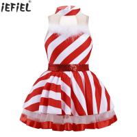 Kids Girls Christmas Costume Mrs Santa Cosplay Candy Cane Mesh Patchwork Striped Tutu Leotard Dress Princess Dance Outfits