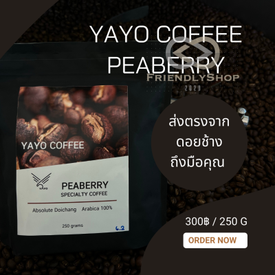 กาแฟ เมล็ดกาแฟสดคั่ว จากดอยช้าง100% กาแฟ เพียเบอรี่ จาก Yayo farm ดอยช้าง เชียงราย. FS99.