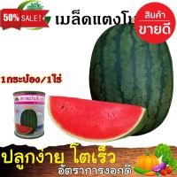 [สินค้าพร้อมส่ง] เมล็ดพันธุ์ แตงโมกินรี ขนาด 40 กรัม เนื้อแน่น แดงจัด เปลือกบาง ต้านทานโรคได้ดี ( 1 กระป๋อง ปลูกได้ 1 ไร่ ) พันธุ์พืช [มีเก็บปลายทาง]